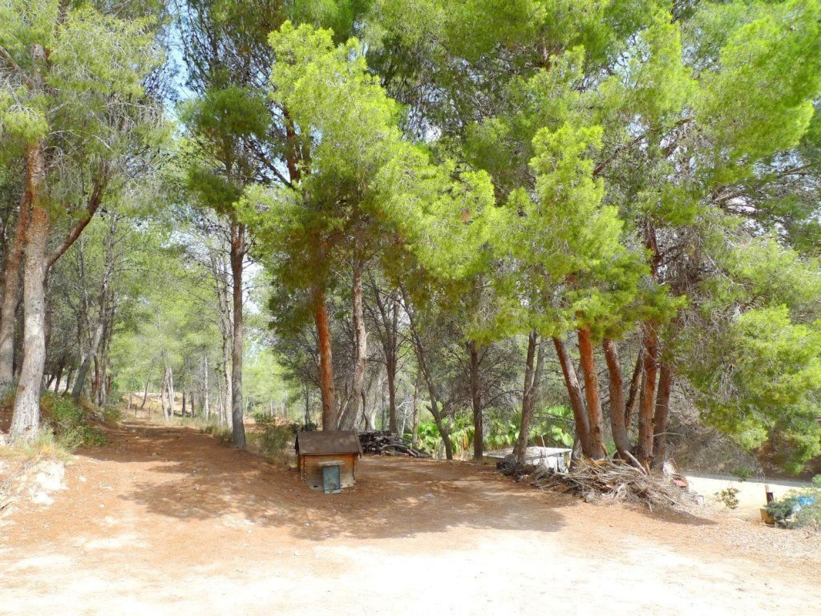 Acogedora casa en parcela de 6000 m2