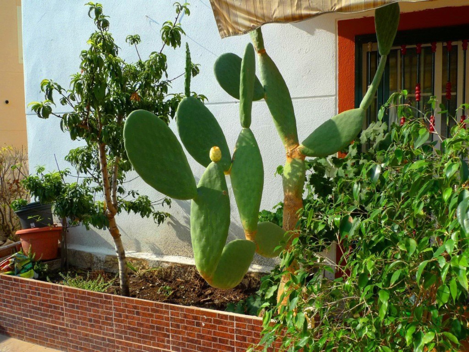 Coqueta villa en el Albir