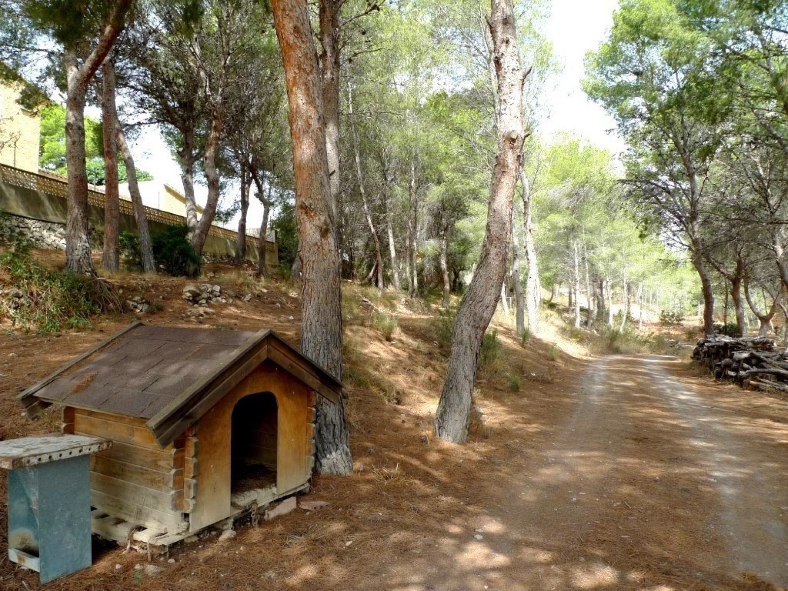 Acogedora casa en parcela de 6000 m2